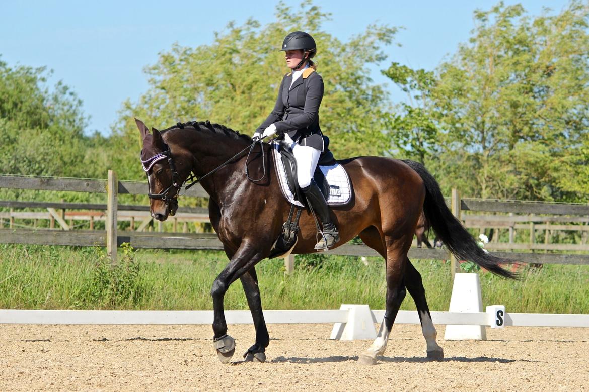 Oldenborg Kikki Mølgaard billede 6