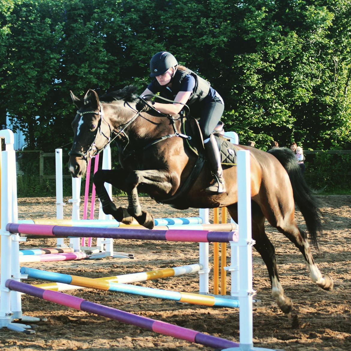 Oldenborg Kikki Mølgaard billede 8