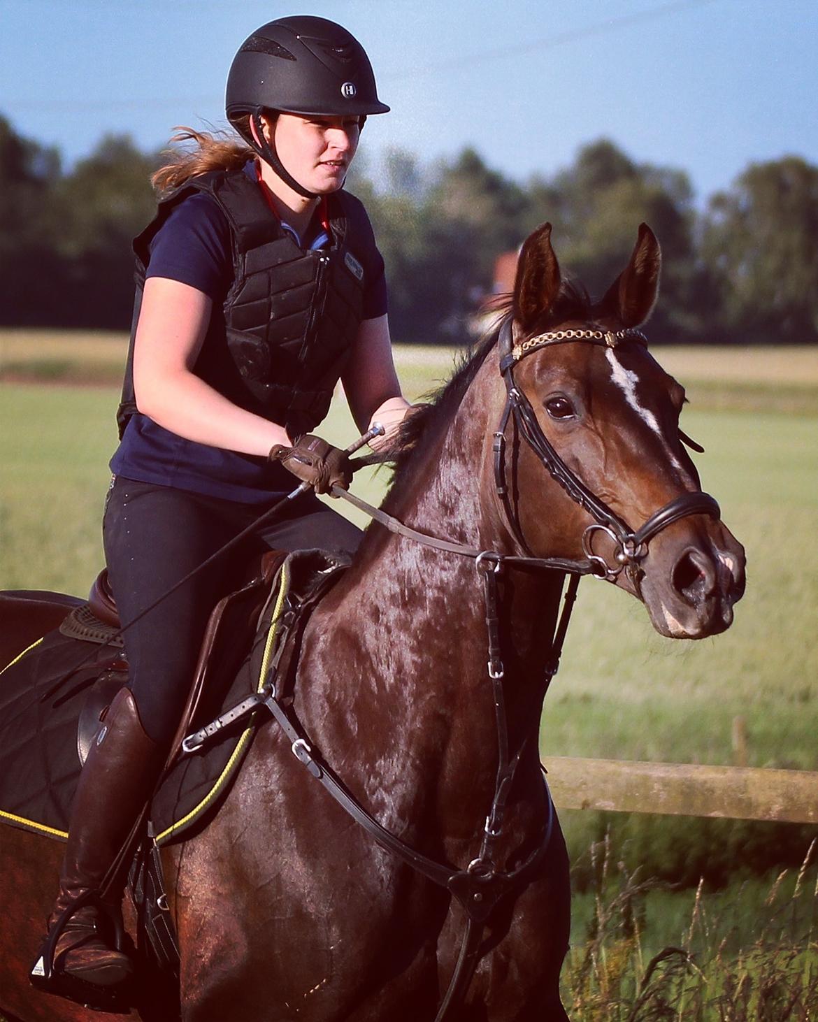 Oldenborg Kikki Mølgaard billede 7