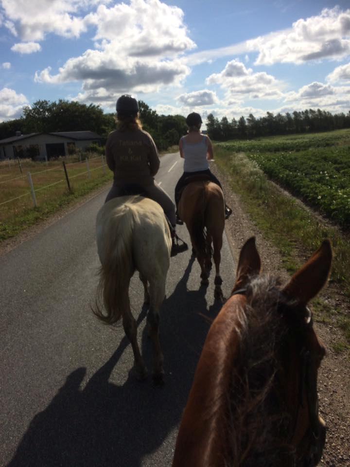 Anden særlig race Clinton  (Præsidenten)  - Mig på den hvide prins på vores første tur :P  billede 4