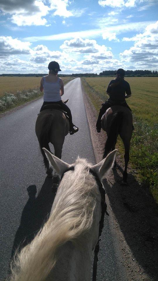 Anden særlig race Clinton  (Præsidenten)  - Vores første tur :3 billede 12