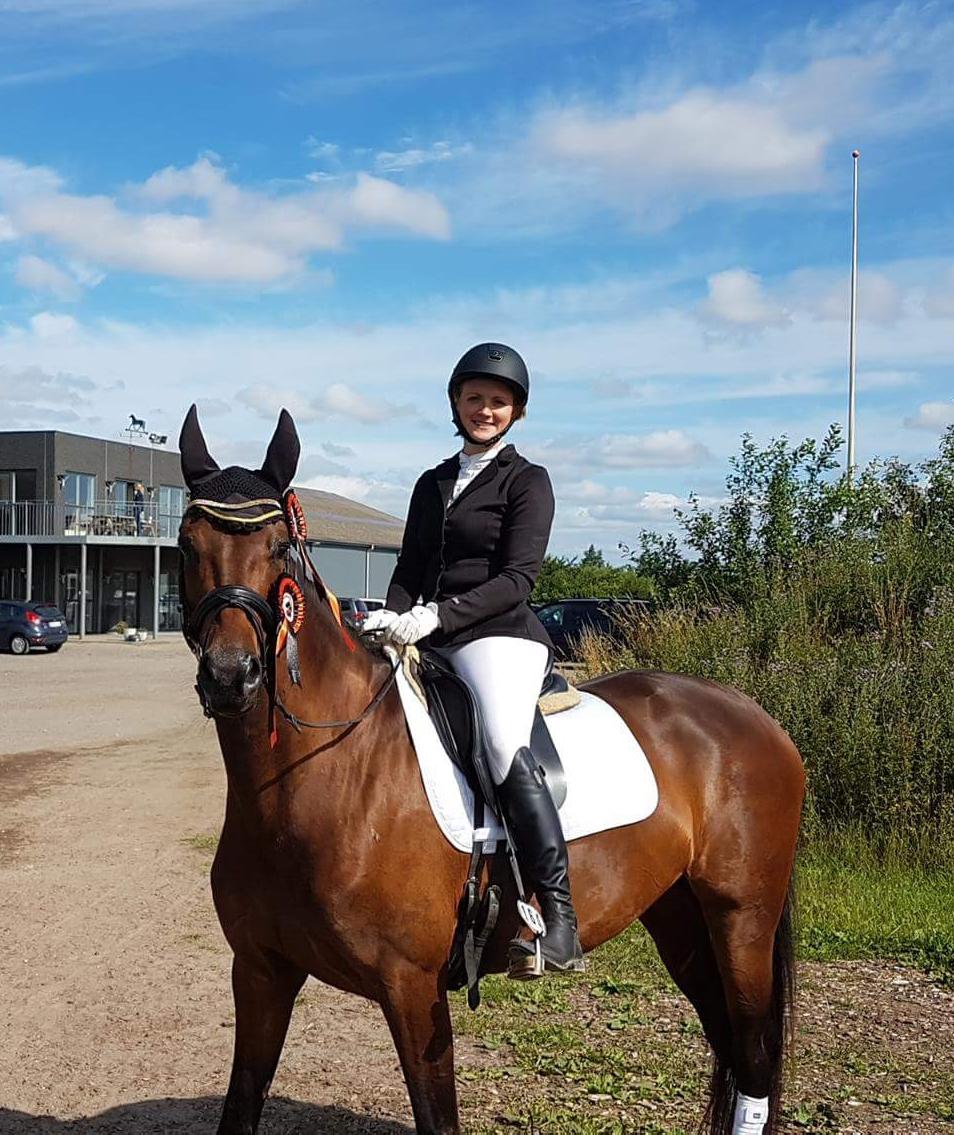 Dansk Varmblod Wanessa billede 19