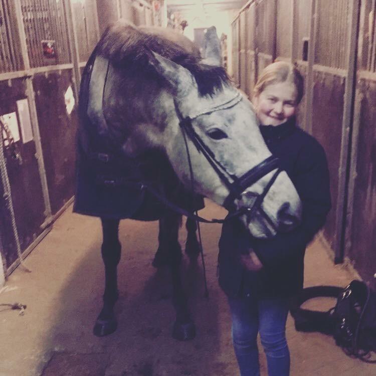 Fuldblod (XX) (solgt) My Malik billede 14