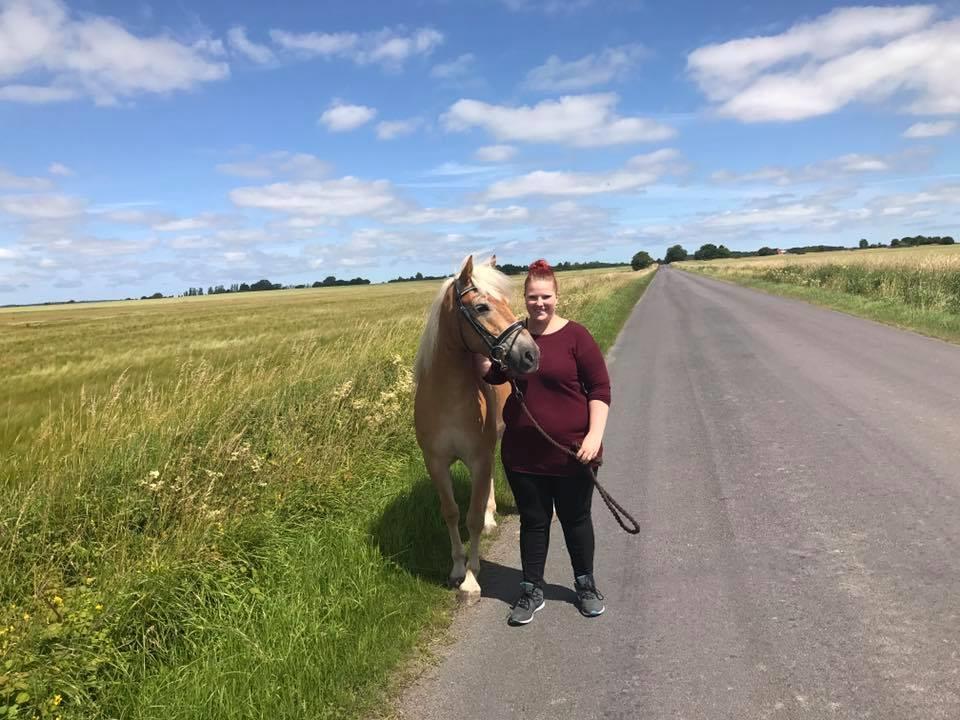 Anden særlig race Phillip (Fibse) billede 4