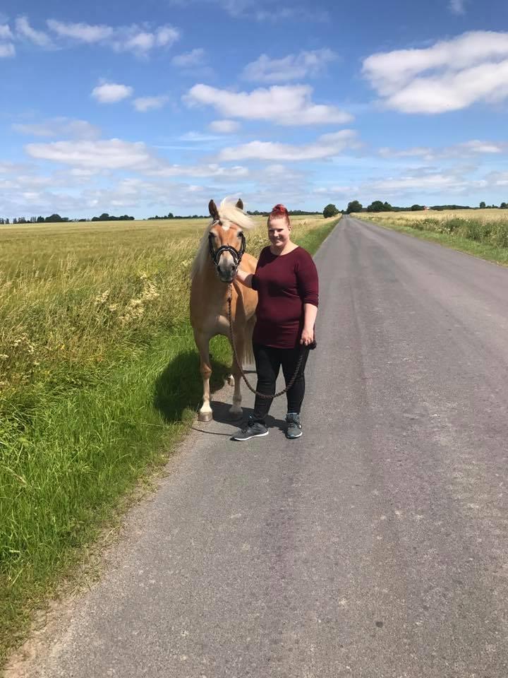 Anden særlig race Phillip (Fibse) billede 5