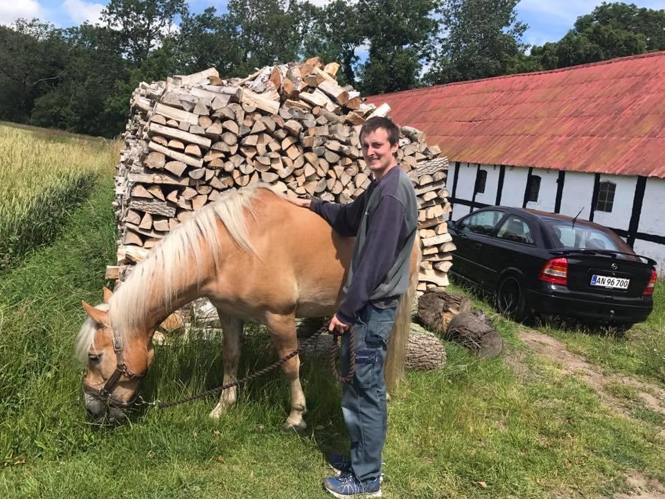 Anden særlig race Phillip (Fibse) billede 11