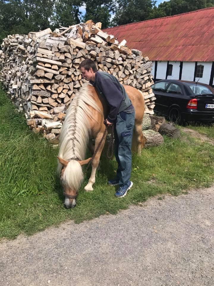 Anden særlig race Phillip (Fibse) billede 12