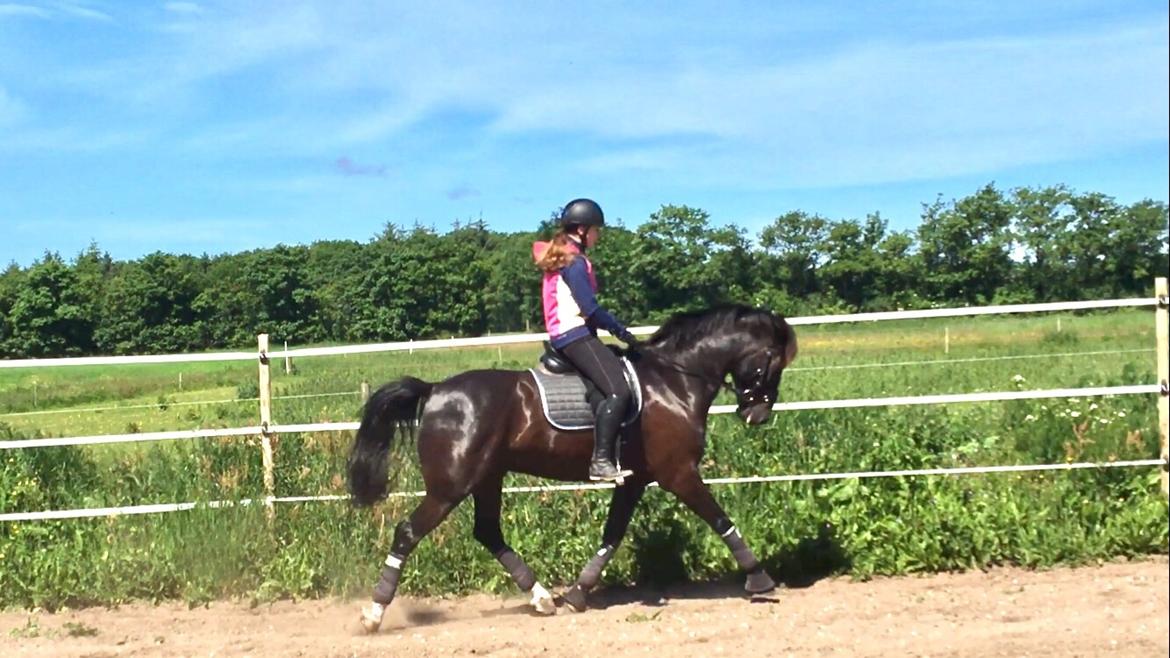 Oldenborg Fillip billede 1