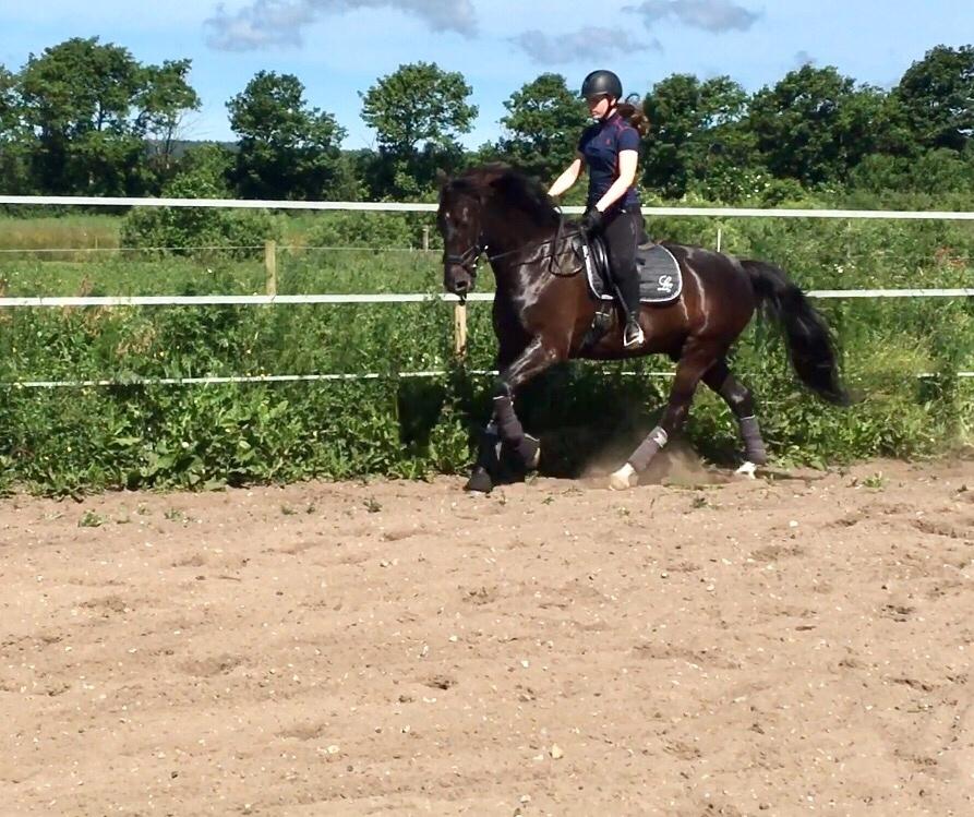 Oldenborg Fillip billede 2