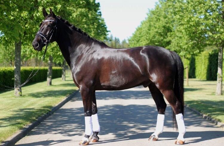 Oldenborg Fillip billede 3