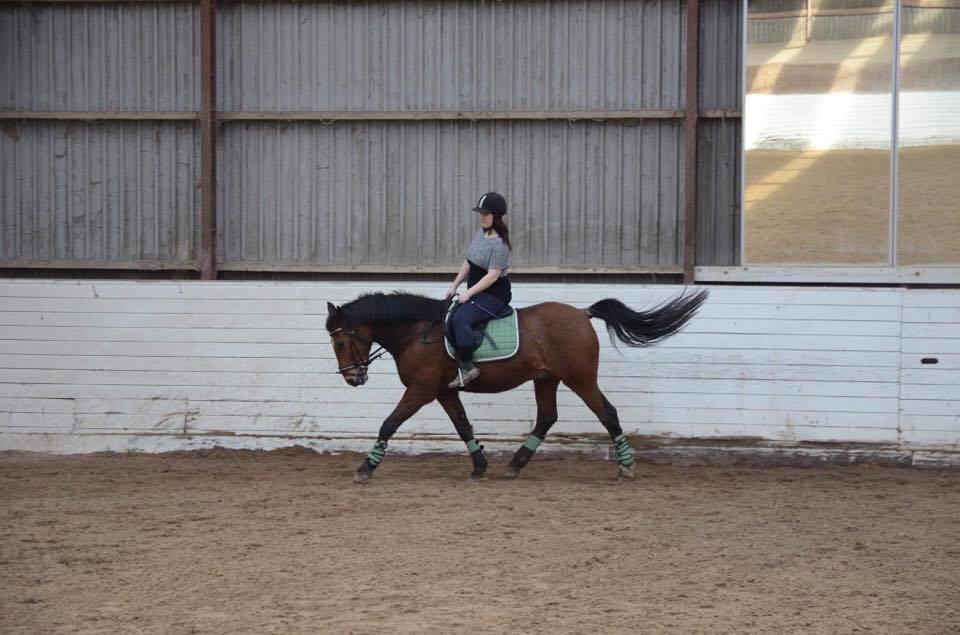 Anden særlig race Kenzo billede 3