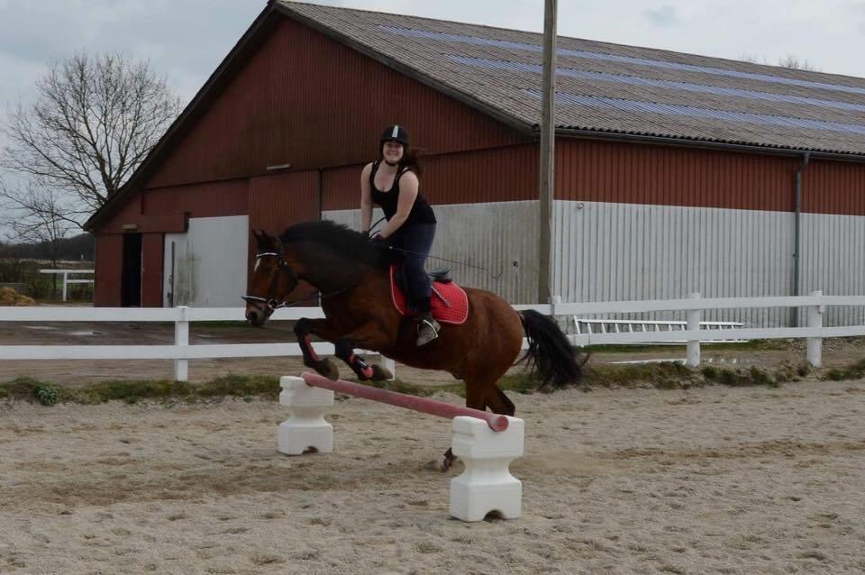 Anden særlig race Kenzo billede 5