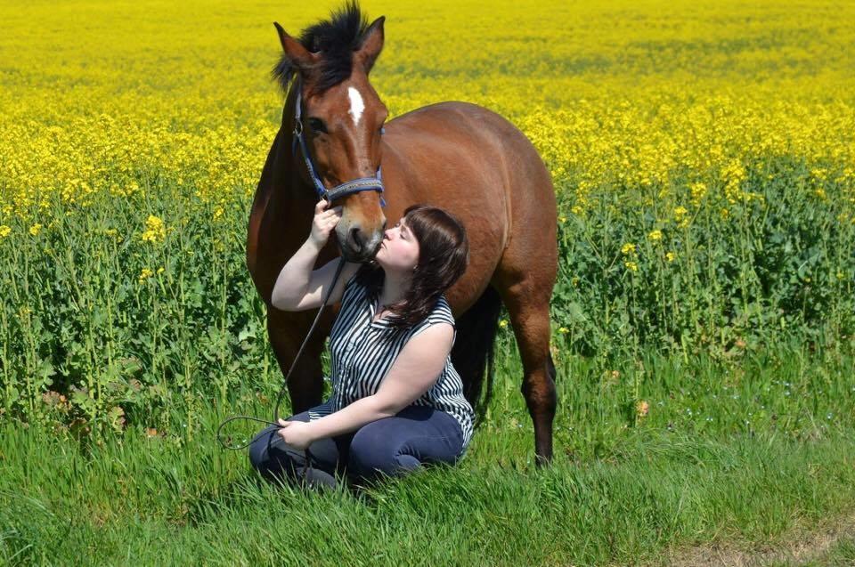 Anden særlig race Kenzo billede 10