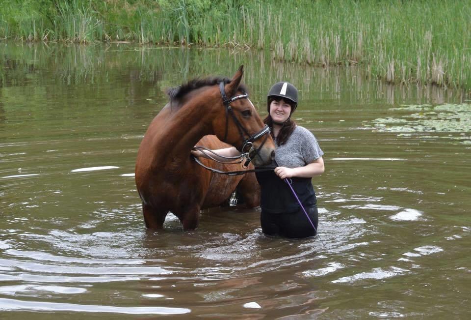 Anden særlig race Kenzo billede 18