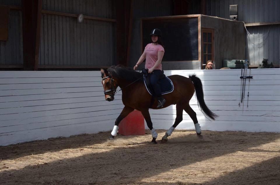 Anden særlig race Kenzo - Doing what you like is freedom. Liking what you do is happiness <3 billede 20