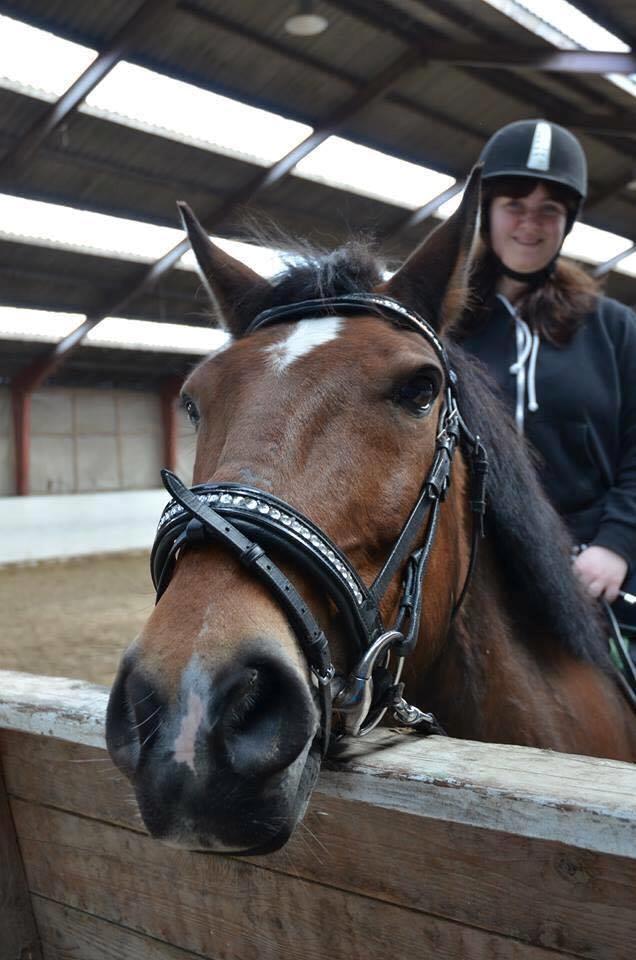 Anden særlig race Kenzo billede 16