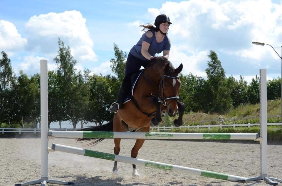Anden særlig race Kenzo - As a rider, the best compliment you can get, is not from your trainer. It's from your horse. When he does what you want, he is saying: "I understand". That is the best reward. billede 2