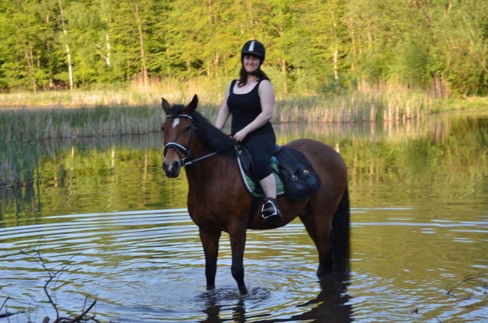 Anden særlig race Kenzo billede 12