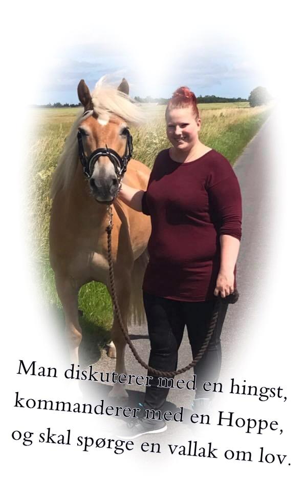 Anden særlig race Phillip (Fibse) billede 13