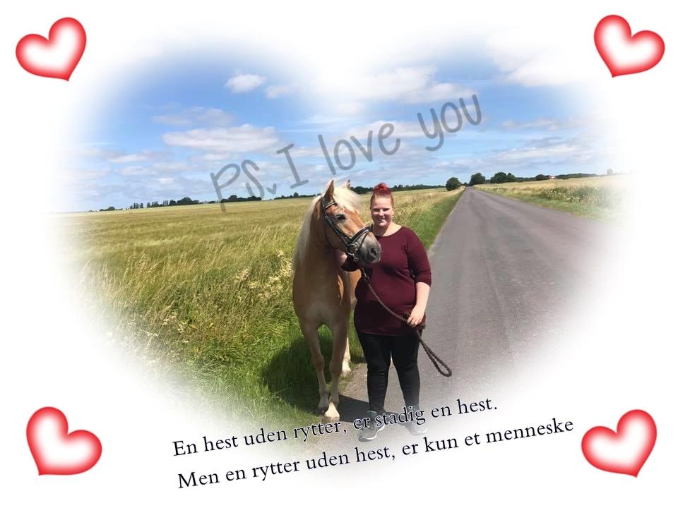 Anden særlig race Phillip (Fibse) billede 14