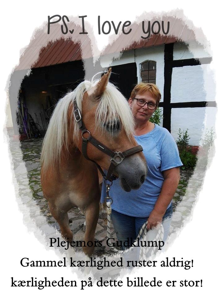 Anden særlig race Phillip (Fibse) billede 15