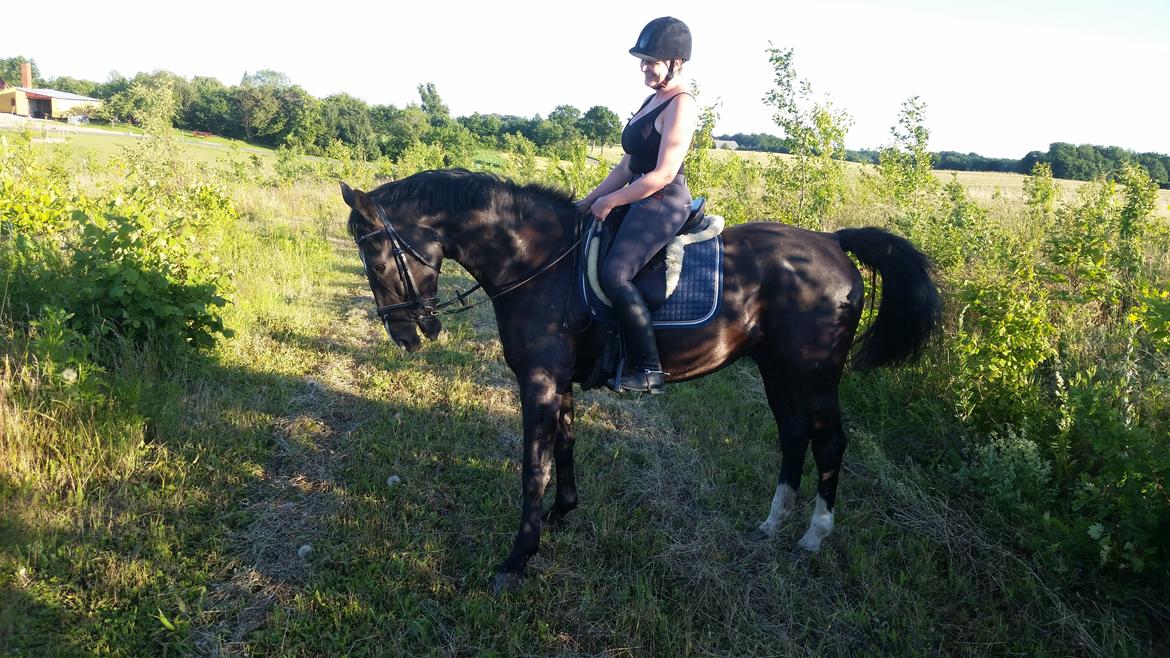 Oldenborg Bahiea's Sako billede 4