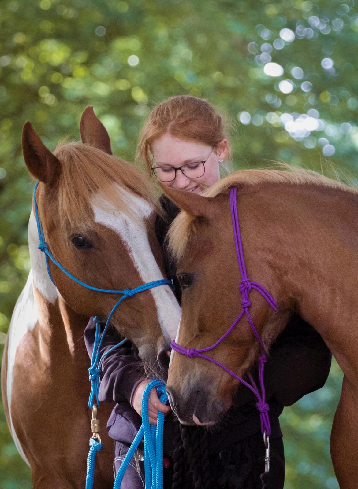 Anden særlig race Miss Dolly (Tamara)  - Hallund Photography billede 15