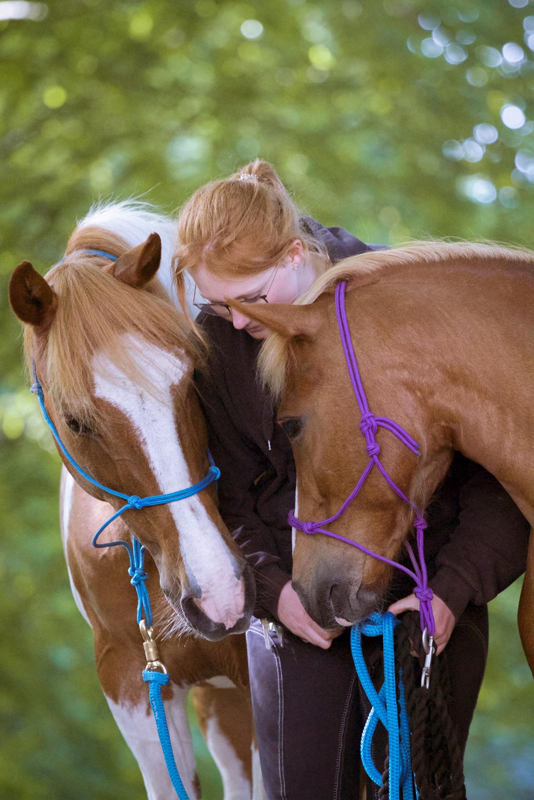 Anden særlig race Miss Dolly (Tamara)  - Hallund Photography billede 16