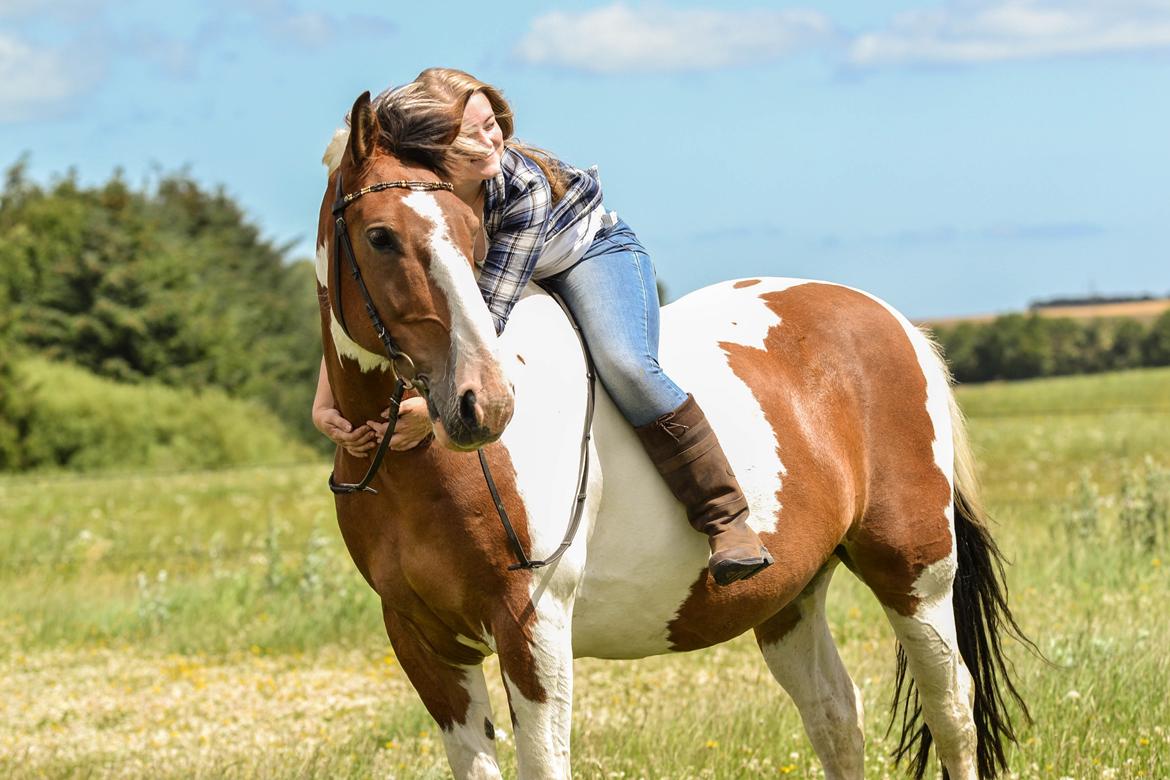 Anden særlig race Buller - (Holmgren Photo) billede 3