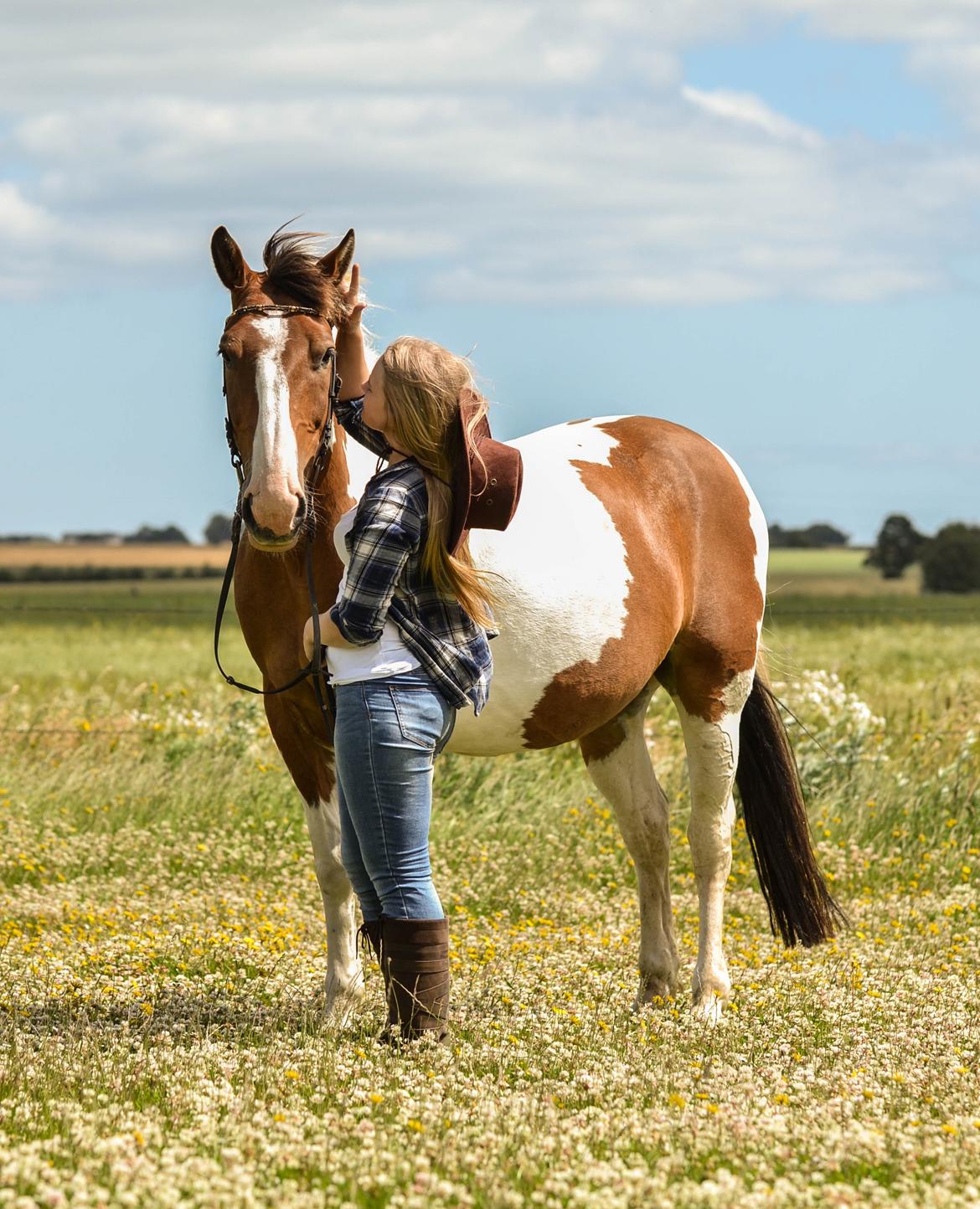 Anden særlig race Buller - (Holmgren Photo) billede 6