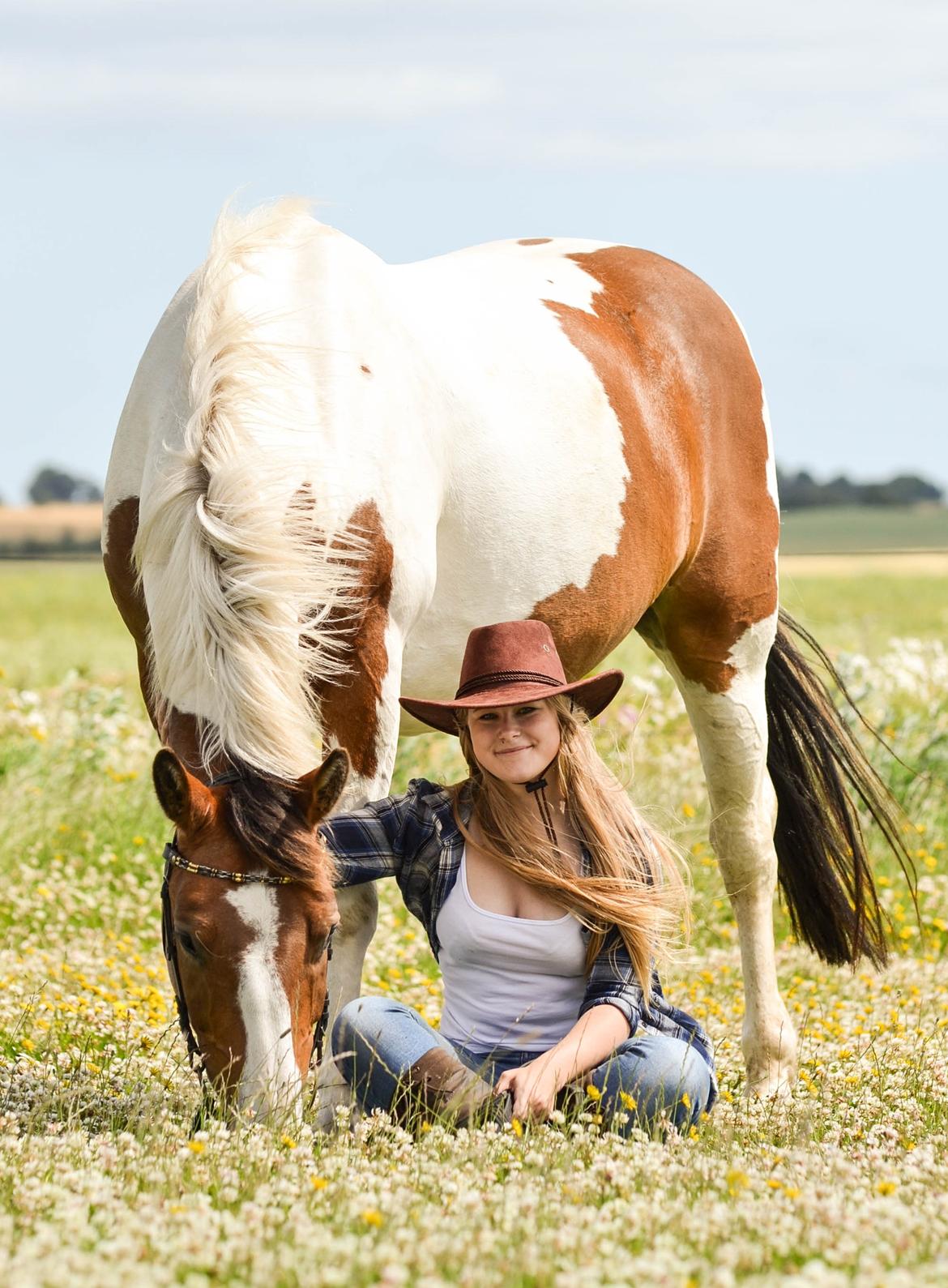 Anden særlig race Buller - (Holmgren Photo) billede 5