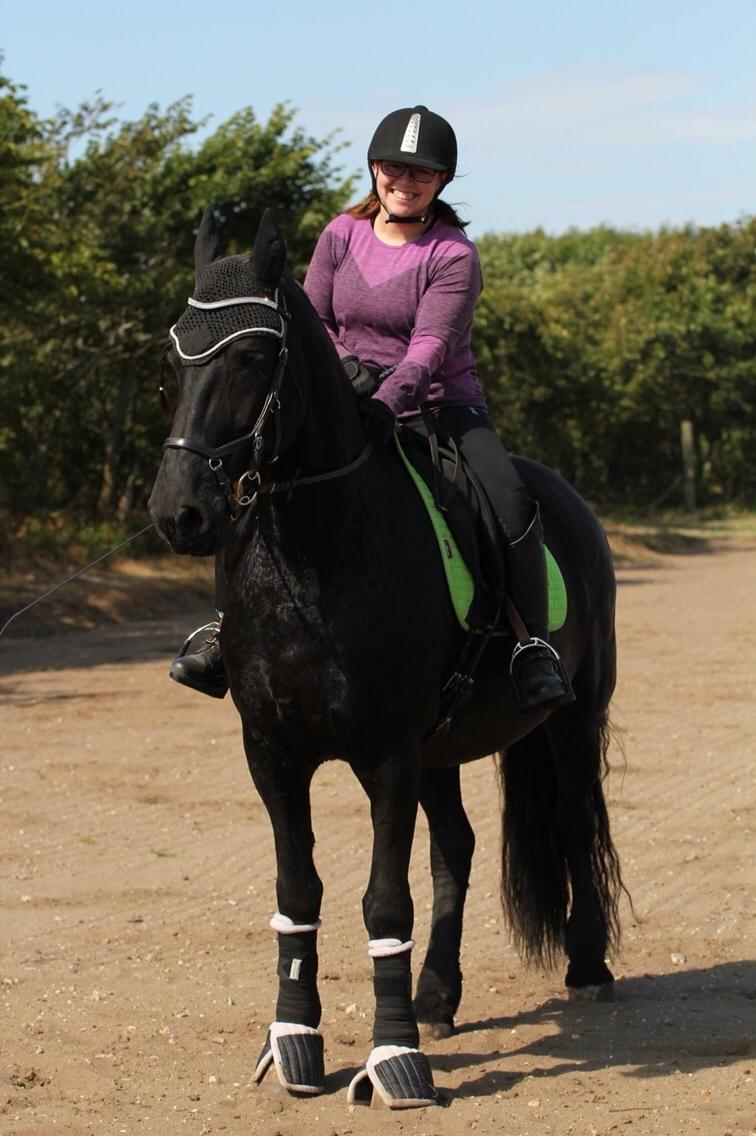 Frieser Femkje - Sommer 2017 billede 17