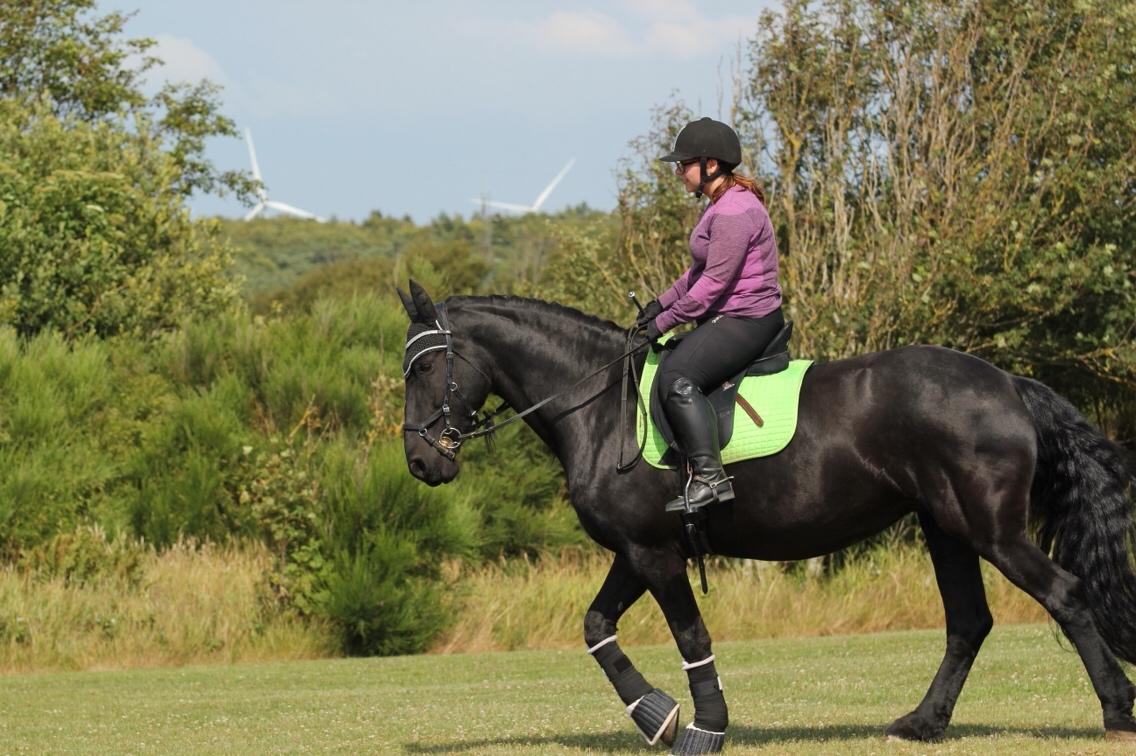Frieser Femkje - Sommer 2017 billede 10