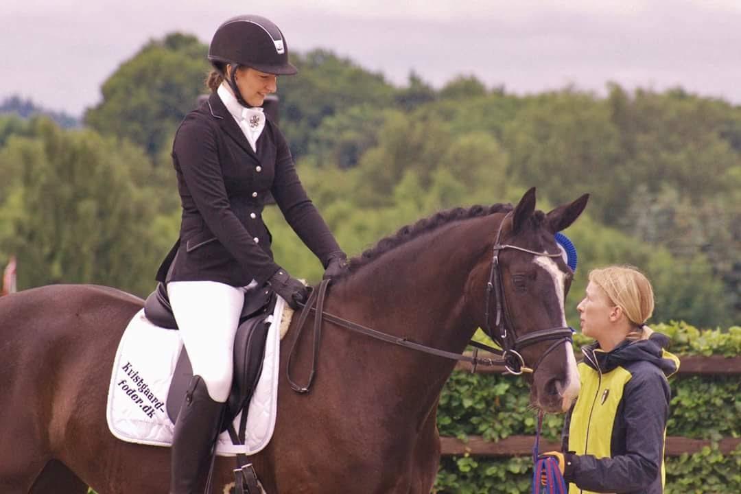 Dansk Varmblod Grønnessegaards Duchesse Noir billede 9