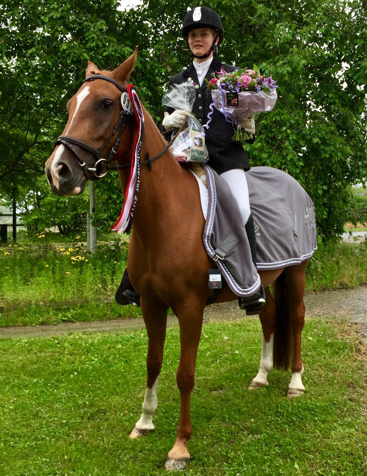 Anden særlig race Alia von hoff billede 13