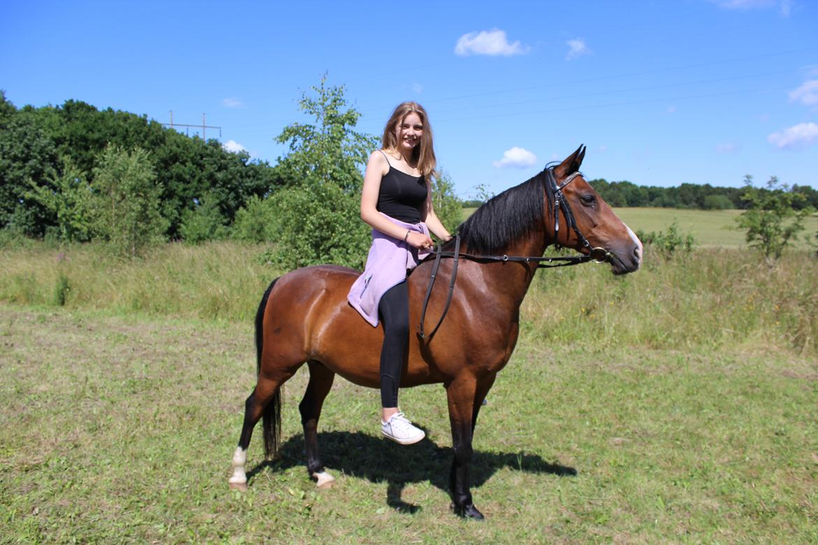 DSP Fantasie billede 14