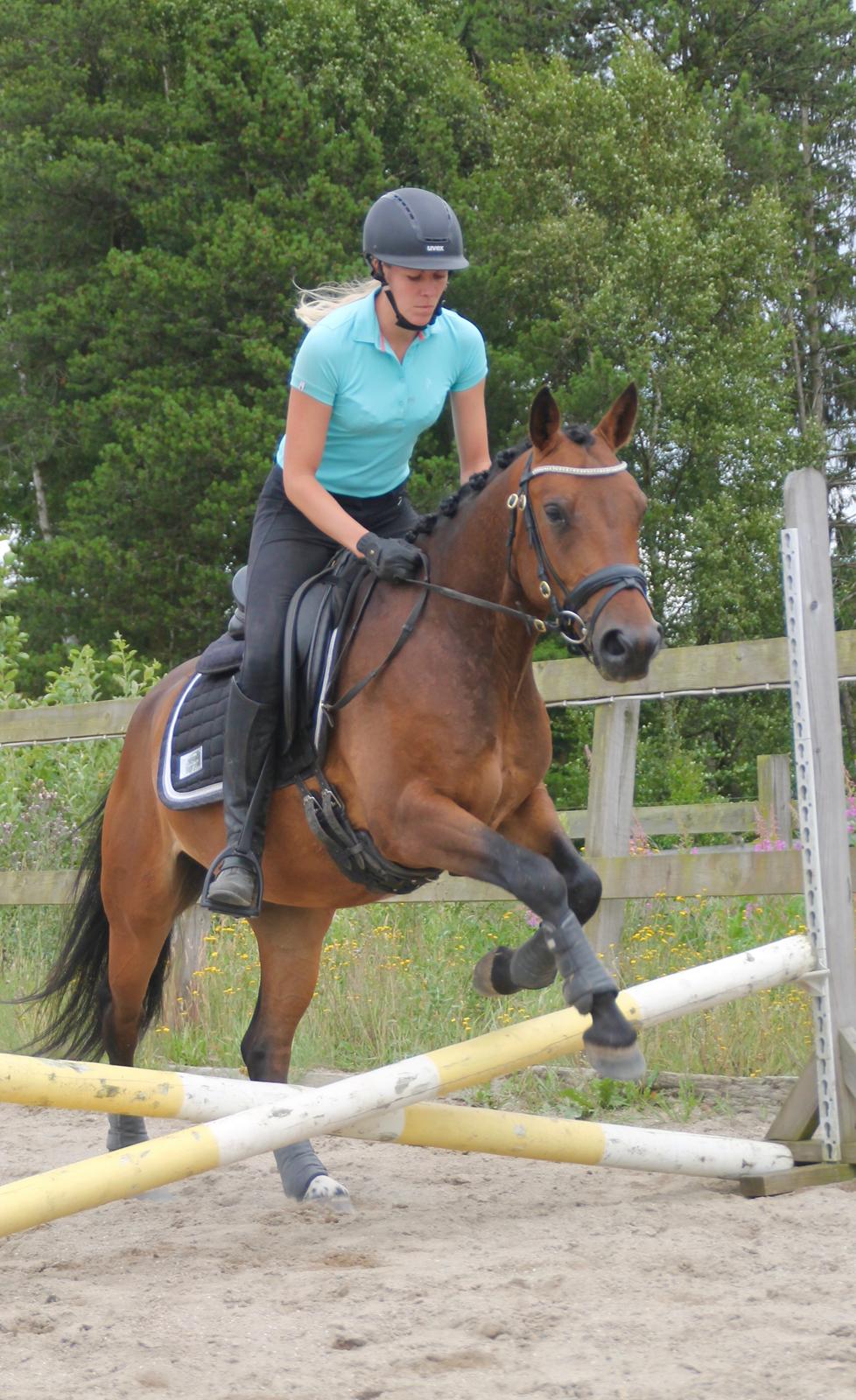 Anden særlig race Fibiger's Påø Laszlo billede 12