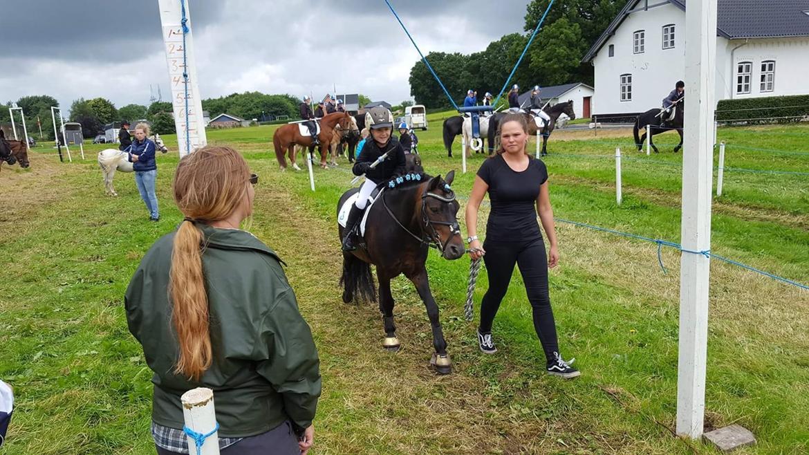 Dartmoor Innis Nissen billede 14
