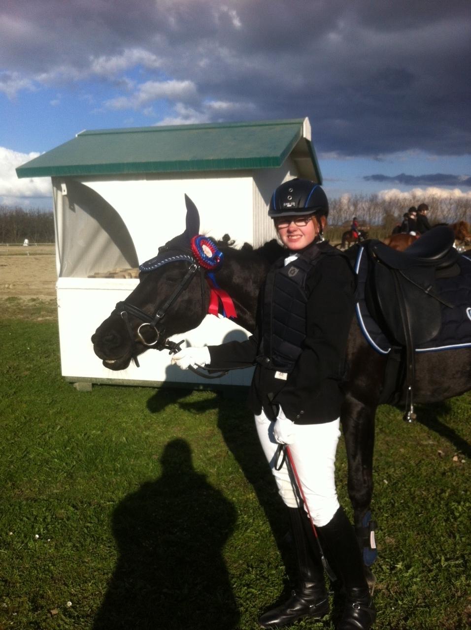 Fell pony Sorte sara billede 4