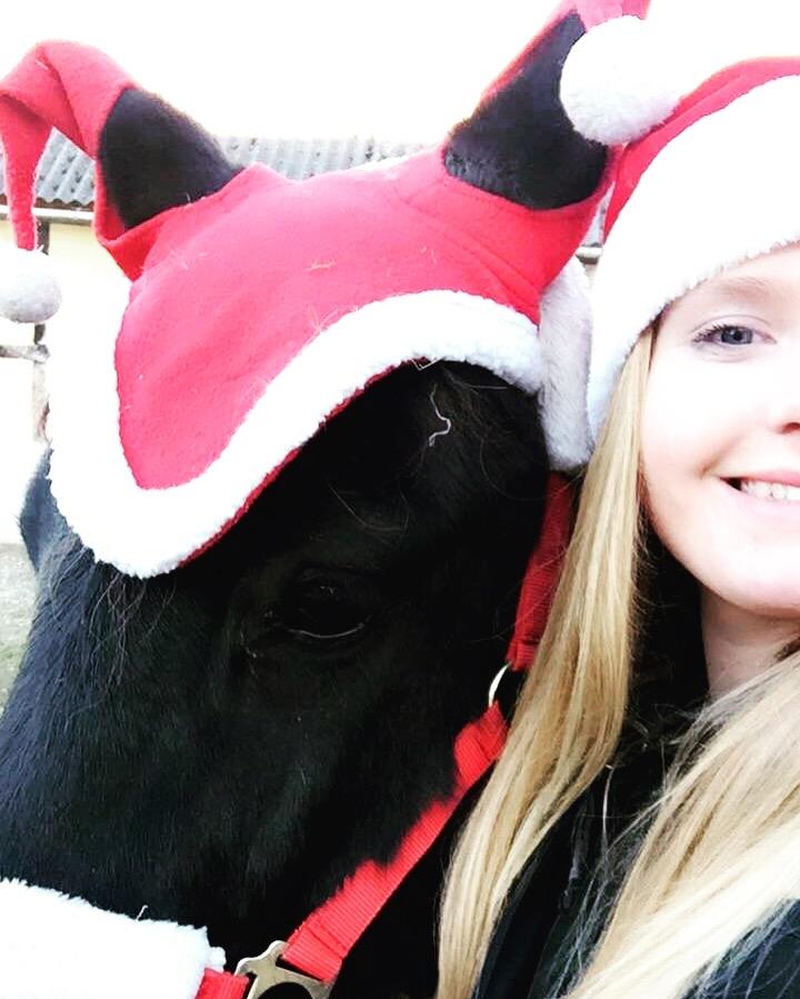 Fell pony Sorte sara - Julen med Sorte Sara billede 7