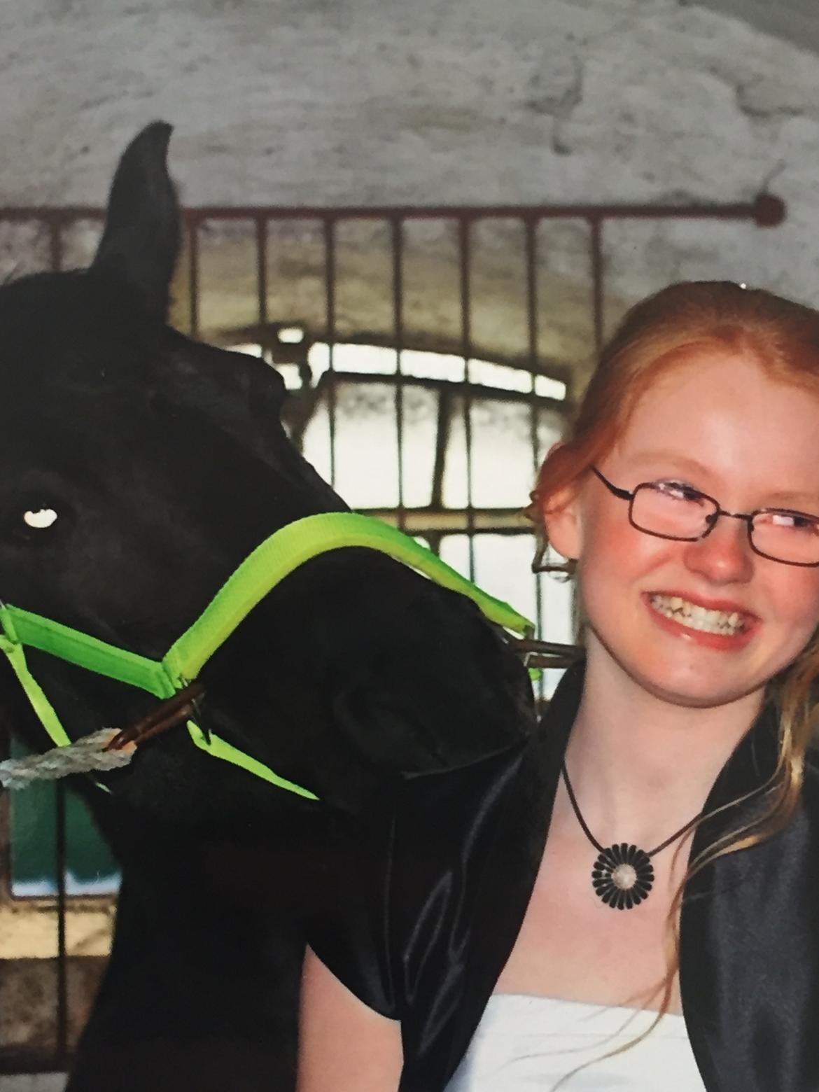 Fell pony Sorte sara - Den dag jeg fik Sorte Sara billede 2