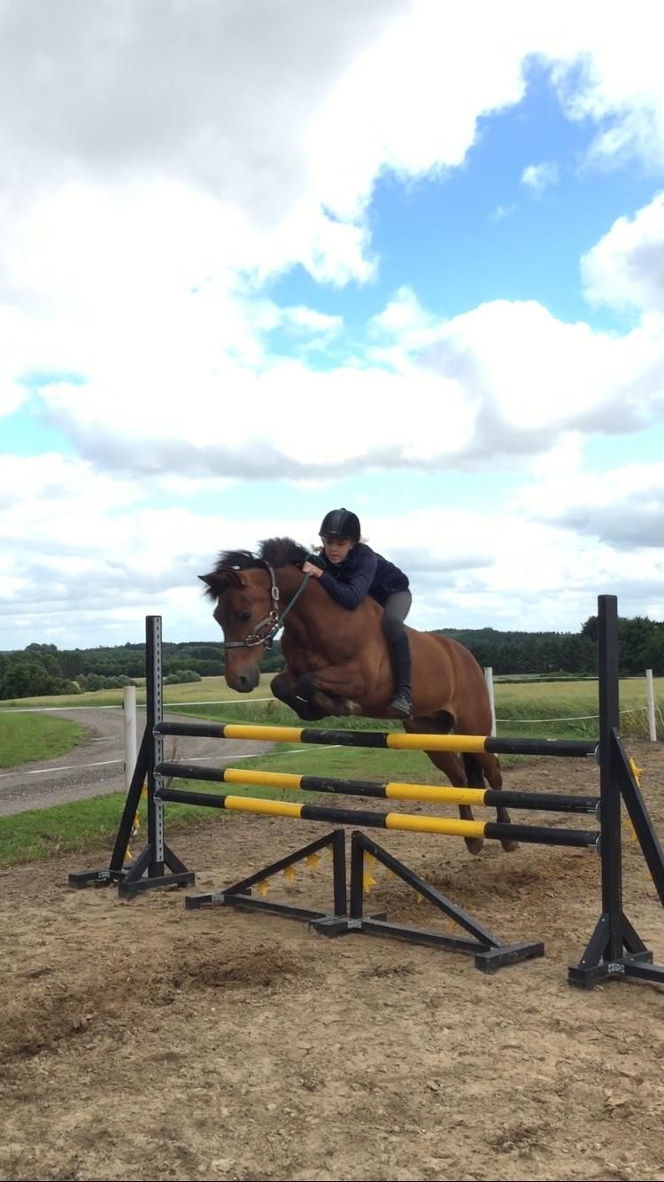 New Forest My little pony topper  billede 1