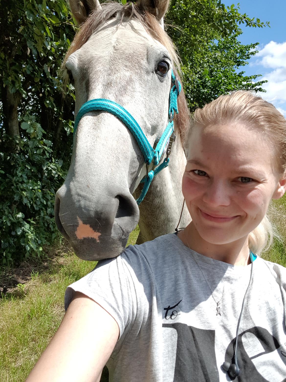 Holstener Calimeró billede 27