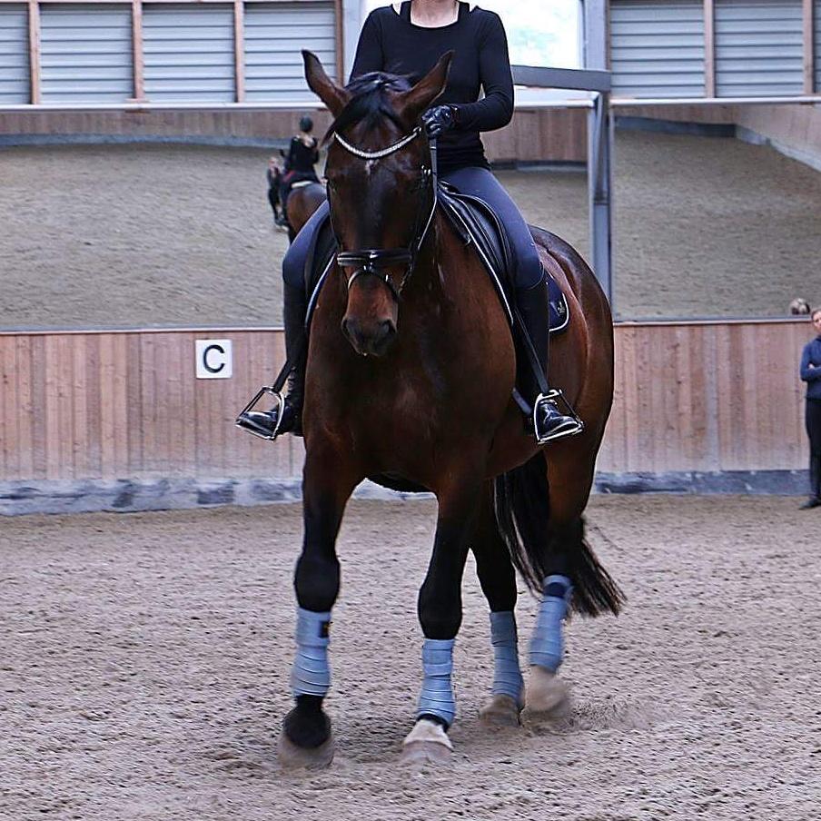 Oldenborg Nobel star billede 18