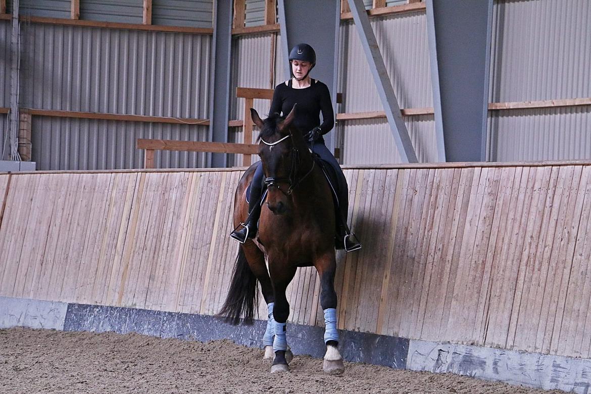 Oldenborg Nobel star billede 19