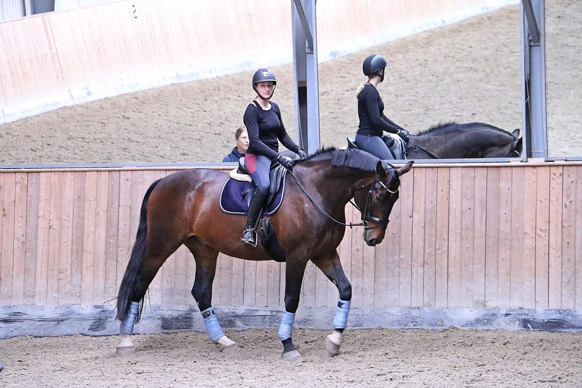 Oldenborg Nobel star billede 20