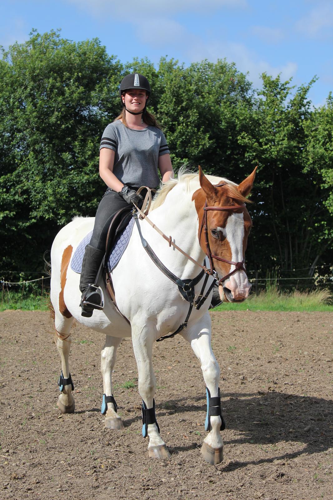 Anden særlig race Freja - Freja og jeg i spring outfit. Første gang vi rider på springbanen  billede 10