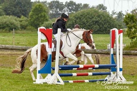 Anden særlig race Susan. (SAVNES!!!) - Første stævne i en anden club og andet spring stævne ( 60 cm ) billede 14
