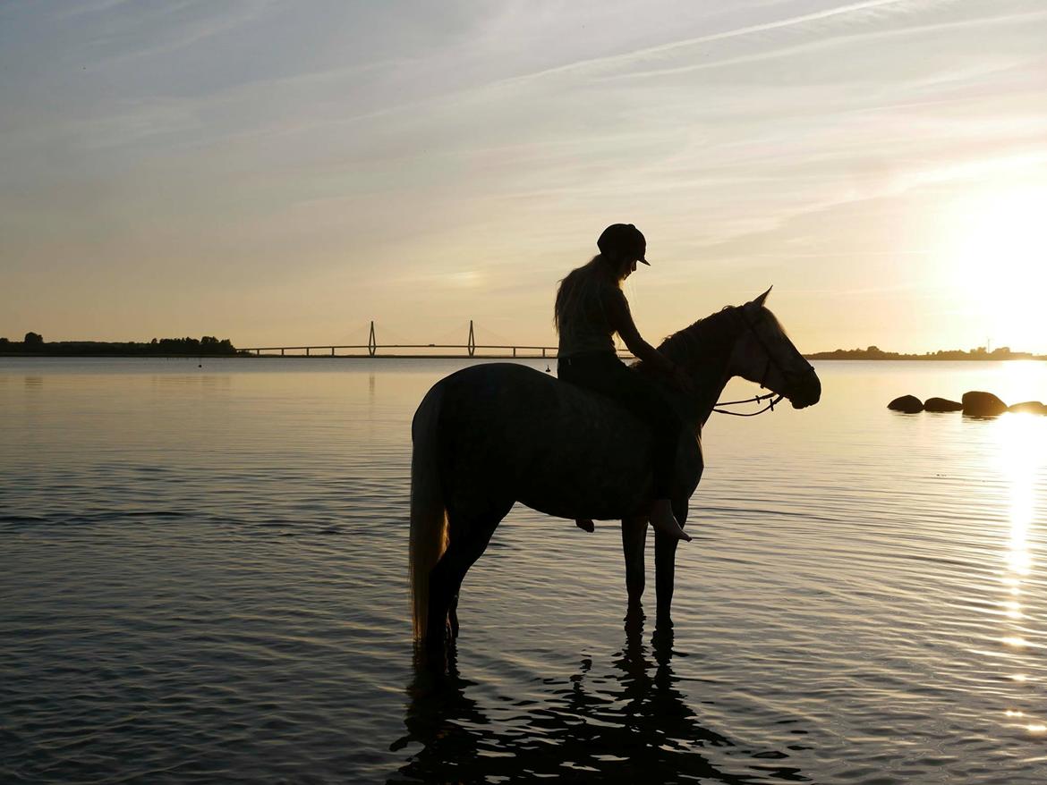 Anden særlig race Antares - tak for besøget:) billede 20