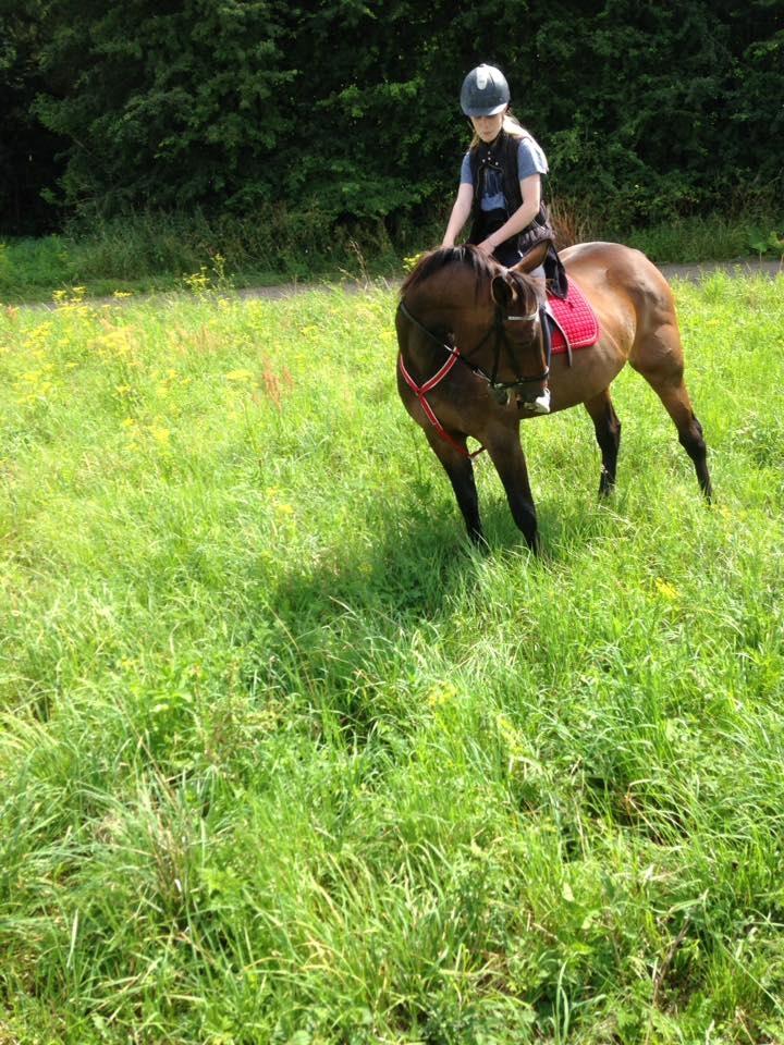 Traver Faraway billede 3